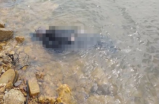 Đi hái lá dong gói bánh chưng, người đàn ông bị chết đuối