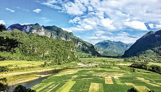 Tết ấm no, xuân hy vọng