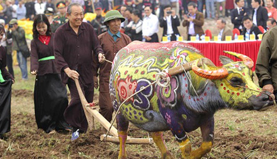 Phó Thủ tướng Trương Hòa Bình xuống đồng cày ruộng tại Lễ hội Tịch điền