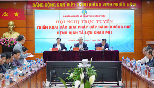 Thủ tướng: Cần chống dịch tả lợn như chống giặc