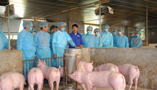 Thiếu ý thức làm dịch bệnh lây lan
