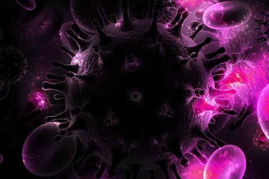 Bệnh nhân thứ hai trên thế giới được tuyên bố không còn virus HIV