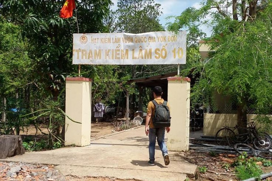 Khởi tố Trạm trưởng Trạm kiểm lâm Vườn quốc gia Yok Đôn