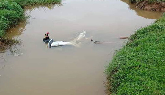 Phát hiện nam thanh niên tử vong dưới mương nước