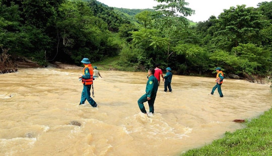 Phát hiện người đàn ông treo cổ tử vong trong rừng