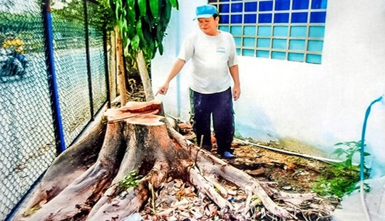 Vụ kiện hành chính kéo dài 18 năm: Phán quyết của tòa án làm sáng tỏ sự thật