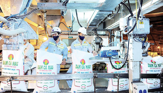 Cấp phép khảo nghiệm phân bón cho Trung tâm Nghiên cứu phát triển Đạm Cà Mau