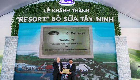 “RESORT” bò sữa Vinamilk Tây Ninh: Ngôi nhà lý tưởng của những cô bò hạnh phúc