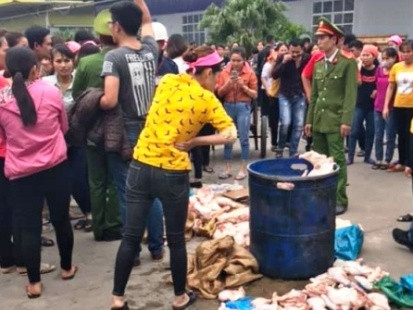 Làm rõ nguồn gốc thực phẩm tại Công ty TNHH Great Global International