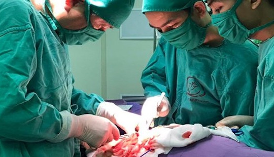 Bé gái 2 tuổi phải cắt bỏ thận sau một tuần đi tiểu buốt, tiểu rắt