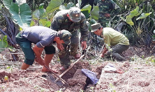 Khởi tố thêm 6 bị can phá rừng tại Vườn Quốc gia Phong Nha - Kẻ Bàng