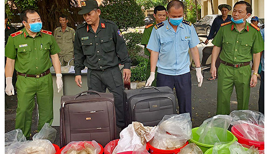 Phó Thủ tướng gửi Thư khen các lực lượng phá án hơn 500 kg ma tuý Ketamine