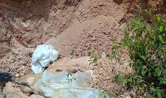 Phát hiện thêm 6 ổ dịch tả lợn Châu Phi ở Huế sau khi công bố hết dịch