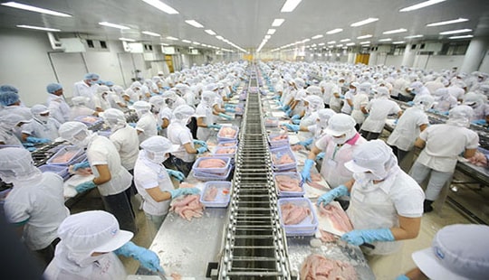 “Tăng tuổi nghỉ hưu là huy động nguồn nhân lực có chất lượng”