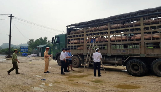 Tiêu hủy 160 con lợn nghi mắc bệnh dịch tả lợn Châu Phi