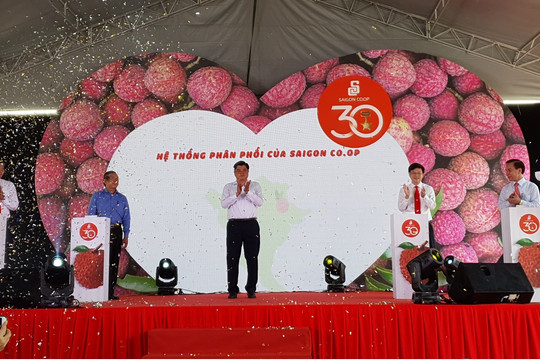 500 tấn vải thiều Lục Ngạn chính gốc chính thức có mặt tại chuỗi bán lẻ Saigon Co.op