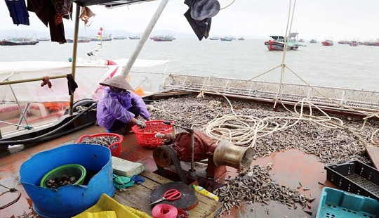 Phát hiện nhiều tàu thuyền sử dụng công cụ đánh bắt tận diệt