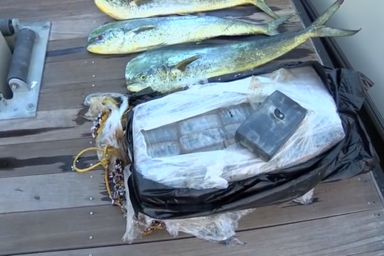 Video: Ngư dân Mỹ tình cờ “đánh bắt” được khối cocaine trị giá 1 triệu USD