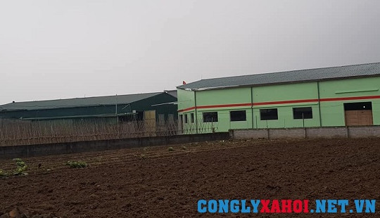 Thái Bình: Không xử lý vi phạm vì… danh hiệu Nông thôn mới