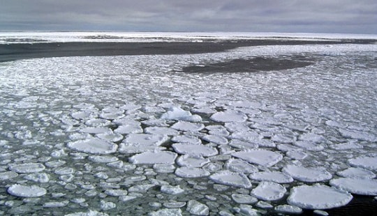 Chuyển động thế giới 3/7: Diện tích băng ở Nam Cực thu hẹp bí ẩn