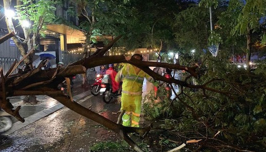 Hà Nội: Mưa lớn kèm gió giật, cây xanh đổ trúng 2 phụ nữ