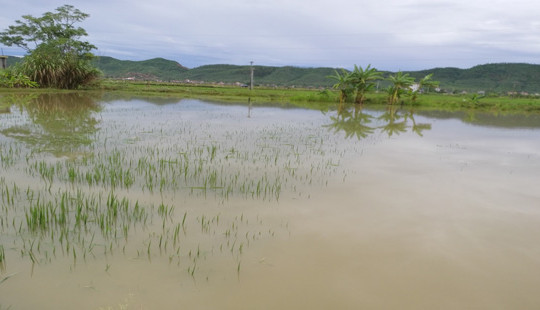 Một ngày hai cháu bé tử vong do đuối nước