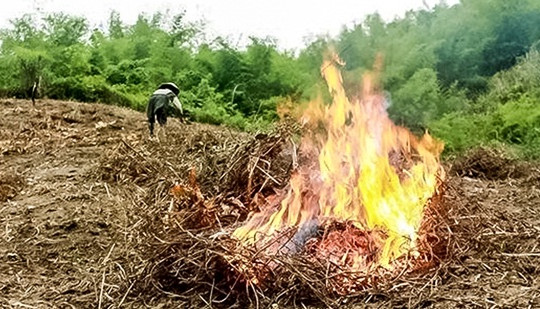 Báo động tình trạng cháy rừng