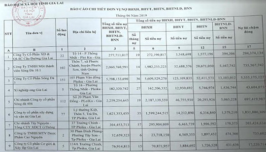 Gia Lai: 202 doanh nghiệp “chây ì” hàng chục tỉ đồng tiền BHXH
