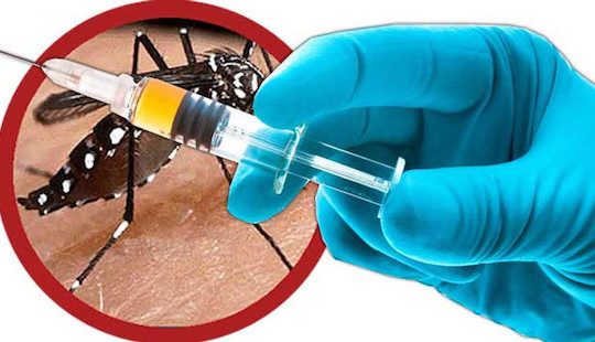 Hoàn tất nghiên cứu vắc xin sốt xuất huyết tại Việt Nam
