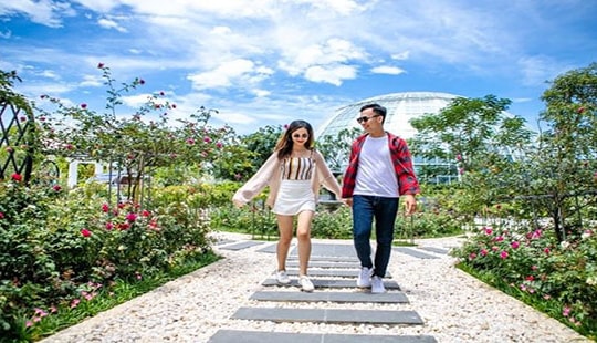 Khám phá khu vườn “kỳ hoa dị thảo” trên đảo kỷ lục tại Nha Trang