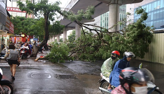 Mưa dông lớn đúng giờ tan tầm, người dân chật vật trong gió lớn