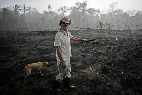Brazil buộc phải ban hành lệnh cấm đốt rừng khi Amazon nổi giận
