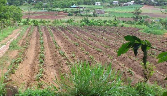 Tháo gỡ bất cập về ghi nợ tiền sử dụng đất