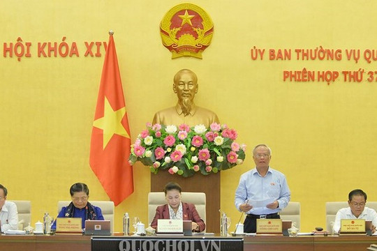 Lượng án tăng trong khi biên chế không tăng, gây nhiều áp lực với ngành Tòa án
