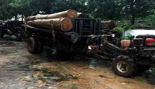 Bắt hai xe chở gỗ lậu không có biển kiểm soát