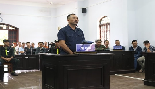 Xét xử Phượng “râu” cùng 24 bị cáo khai thác gỗ lậu