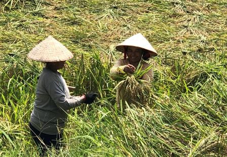 Khẩn trương xây dựng lại bản Xa Ná