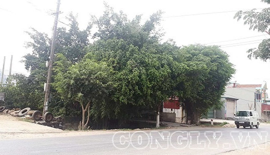 Thanh Hóa: Bất thường trong đền bù giải phóng mặt bằng ở xã Vĩnh Thịnh