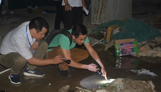 Thận trọng với bệnh sốt xuất huyết khi vào mùa cao điểm