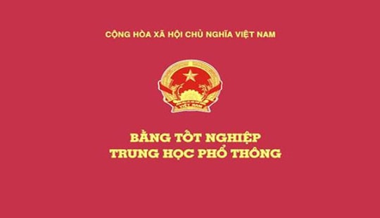 Lập tổ công tác xác minh nữ Phó phòng dùng bằng cấp 3 không hợp pháp
