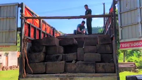 Chặn bắt ô tô chở 27 khúc gỗ không rõ nguồn gốc