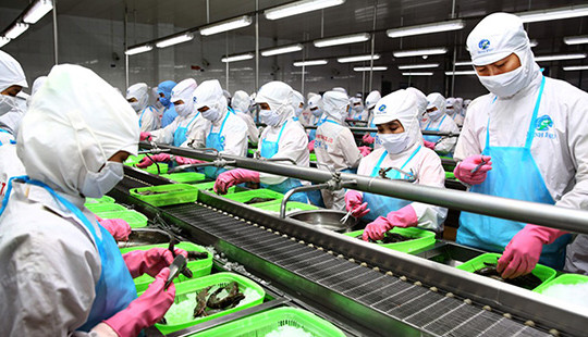 Thúc đẩy đổi mới sáng tạo và tăng cường liên kết trong DN tư nhân