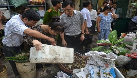 Tăng cường phòng chống sốt xuất huyết Dengue