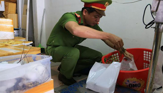Đà Nẵng phát hiện tôm hùm bơm tạp chất Agar