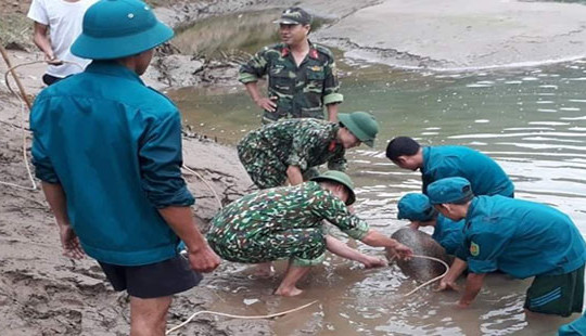 Trục vớt quả bom nằm dưới lòng sông