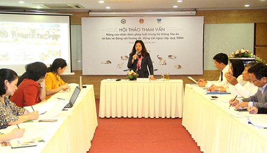 Nâng cao hiệu quả xét xử án hình sự liên quan những vi phạm đối với động vật quý hiếm