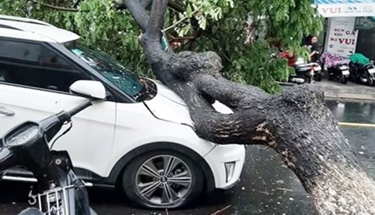 Đà Nẵng mưa lớn, tàu chìm, cây đổ hàng loạt đè bẹp ô tô