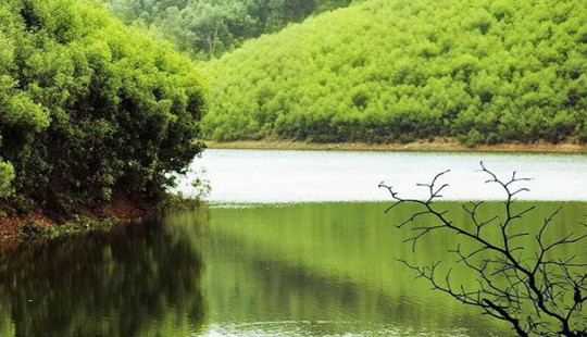 Yên Thành, Nghệ An thu hút giới trẻ với nhiều điểm vui chơi kỳ thú