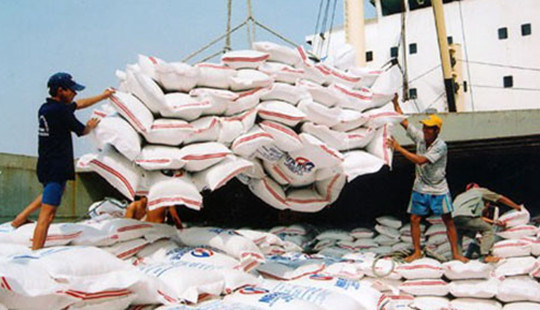 Logistics hỗ trợ nâng cao giá trị nông sản