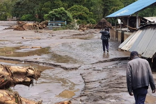 Tin vắn thế giới ngày 25/11: Sạt lở đất ở Kenya, 37 người thiệt mạng